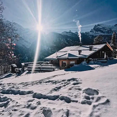 Mountain Vandrerhjem