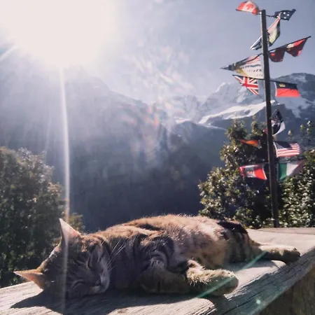 格美湾德山地旅馆 旅馆 *