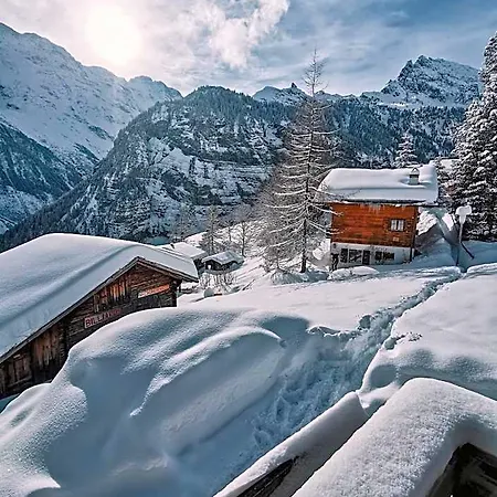 Mountain *