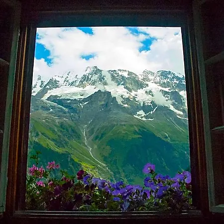 Mountain Hostel *