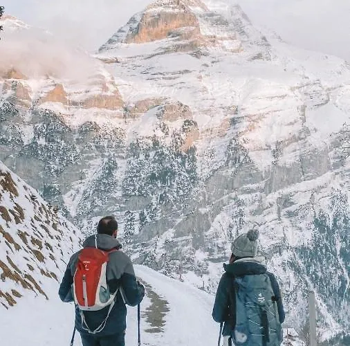 Hostel Mountain Gimmelwald