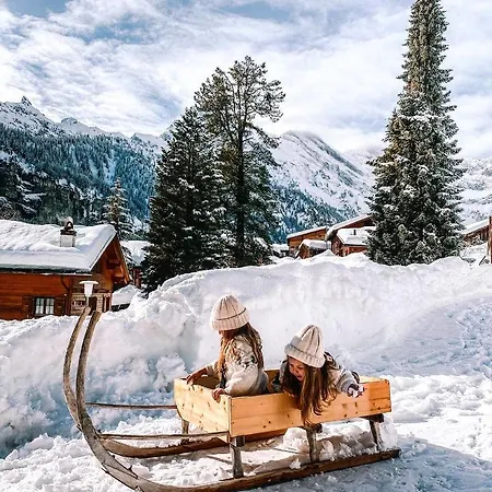 אכסניה Mountain *