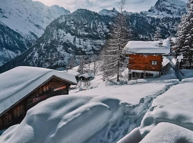 Hostel Mountain *